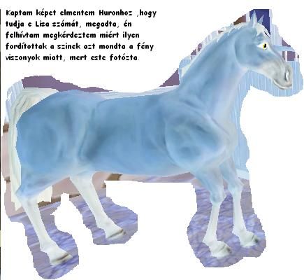 55.jpg